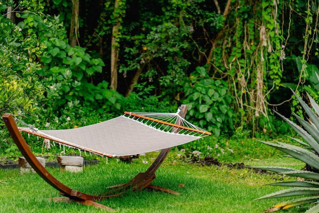 Jungle Haven Ocean Front Eco Villa On Fruit Farm Pahoa Exterior photo