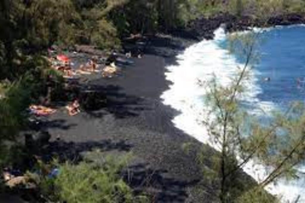 Jungle Haven Ocean Front Eco Villa On Fruit Farm Pahoa Exterior photo