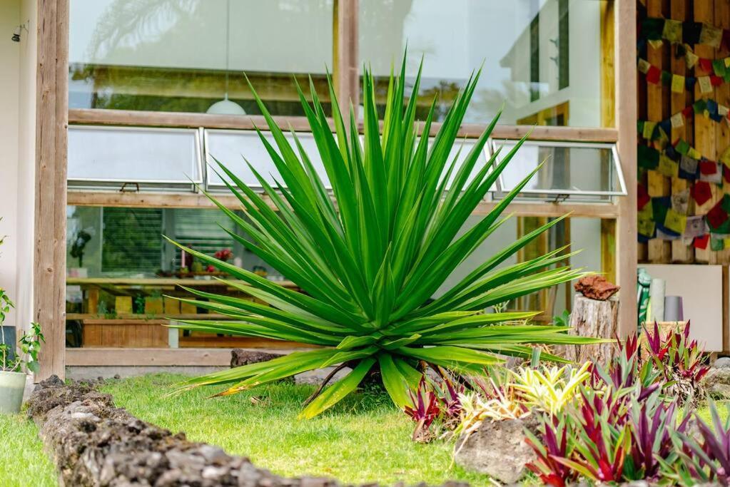Jungle Haven Ocean Front Eco Villa On Fruit Farm Pahoa Exterior photo