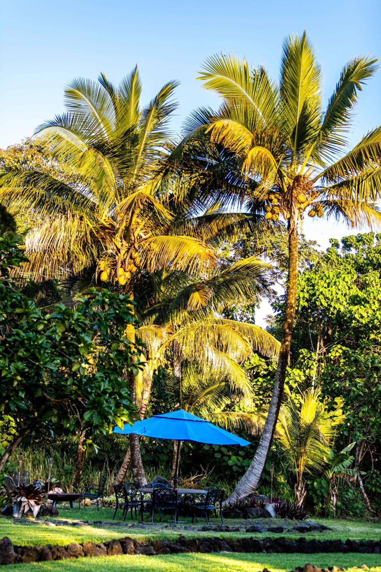 Jungle Haven Ocean Front Eco Villa On Fruit Farm Pahoa Exterior photo