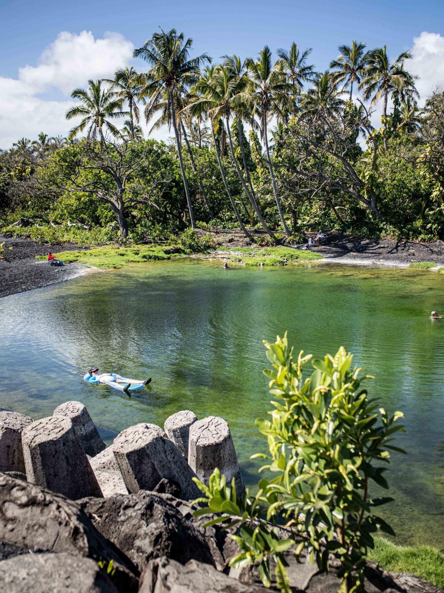 Jungle Haven Ocean Front Eco Villa On Fruit Farm Pahoa Exterior photo