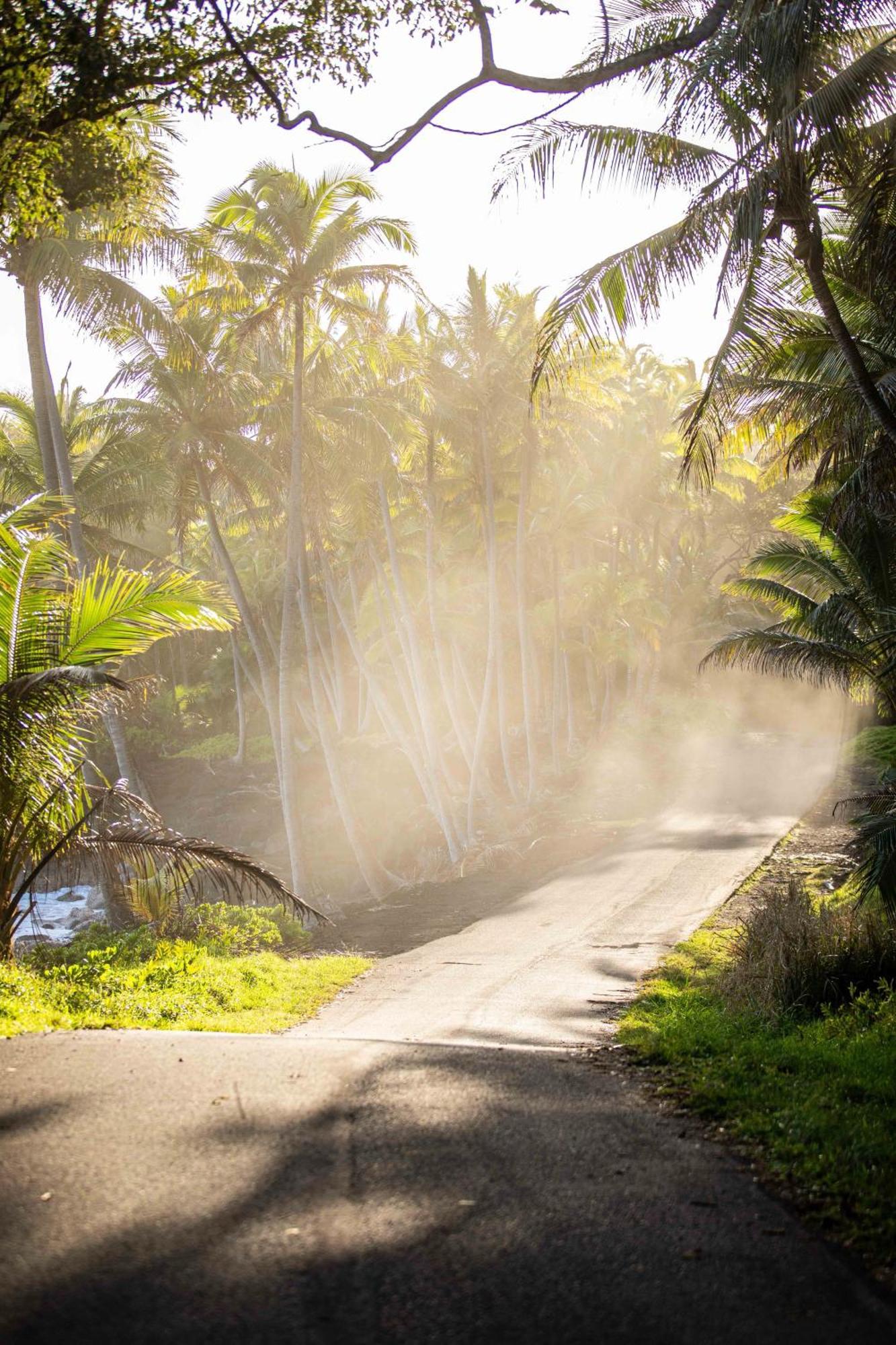 Jungle Haven Ocean Front Eco Villa On Fruit Farm Pahoa Exterior photo